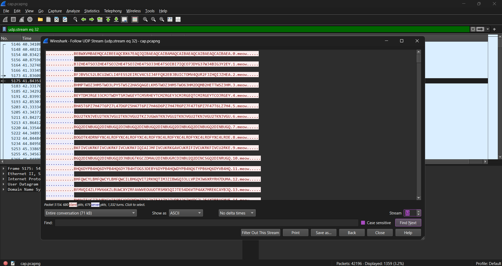 DNS queries to meow domain